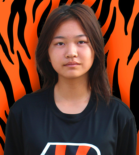 Iris Gui